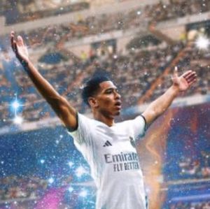 Meet your Posher, Sam